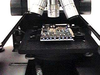 Signatone Board Mount Chuck
